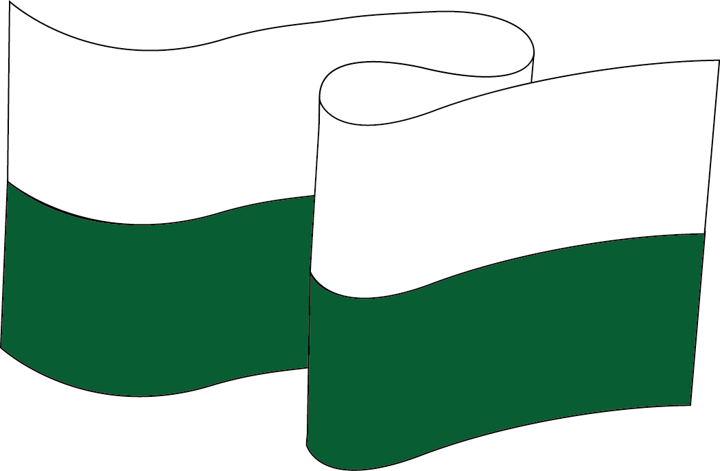 bandera pvm